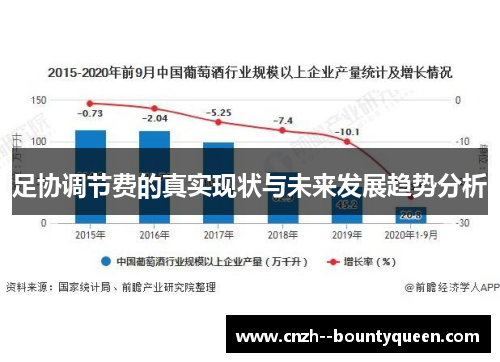 足协调节费的真实现状与未来发展趋势分析 足协调节费的真实现状与未来发展趋势分析